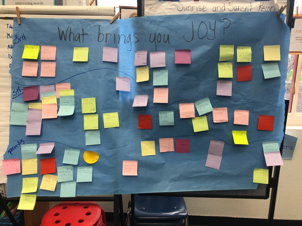 What Has Brought You Joy? poster