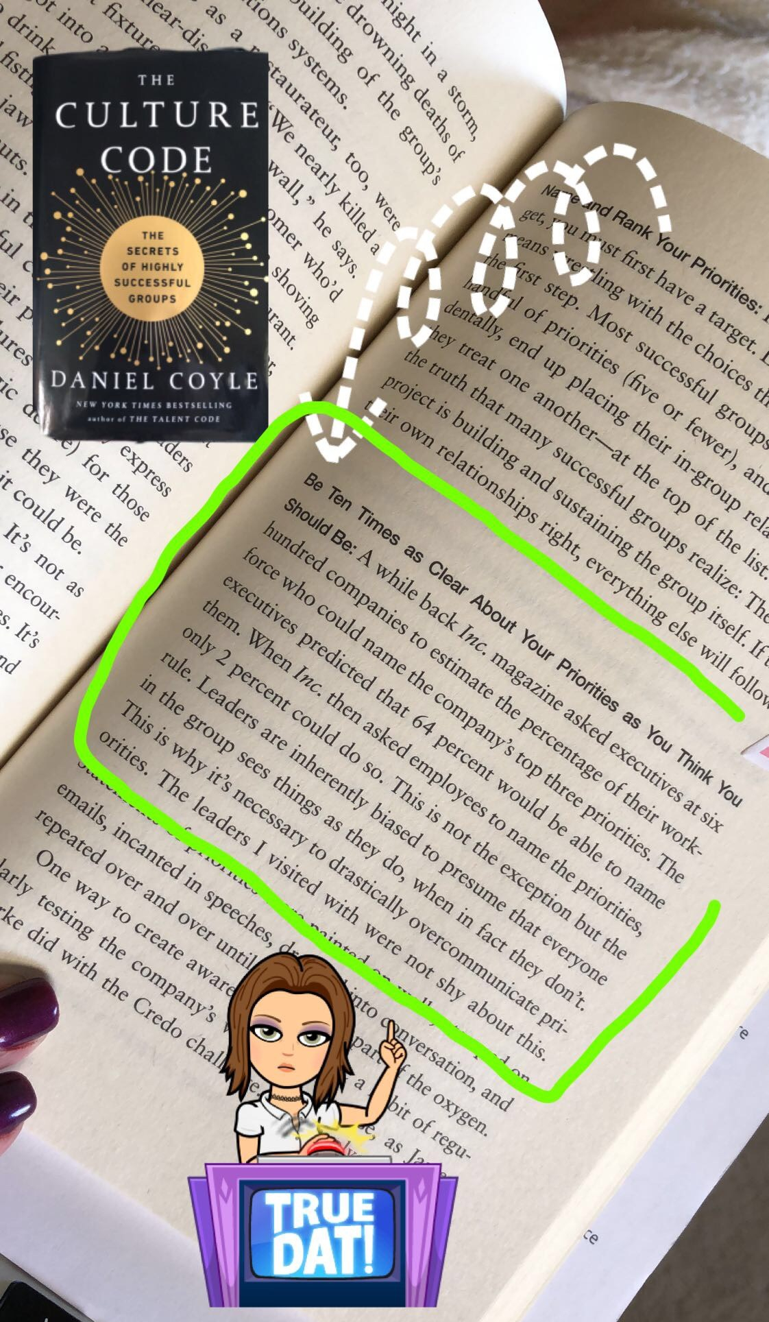 BookSnap from The Culture Code
