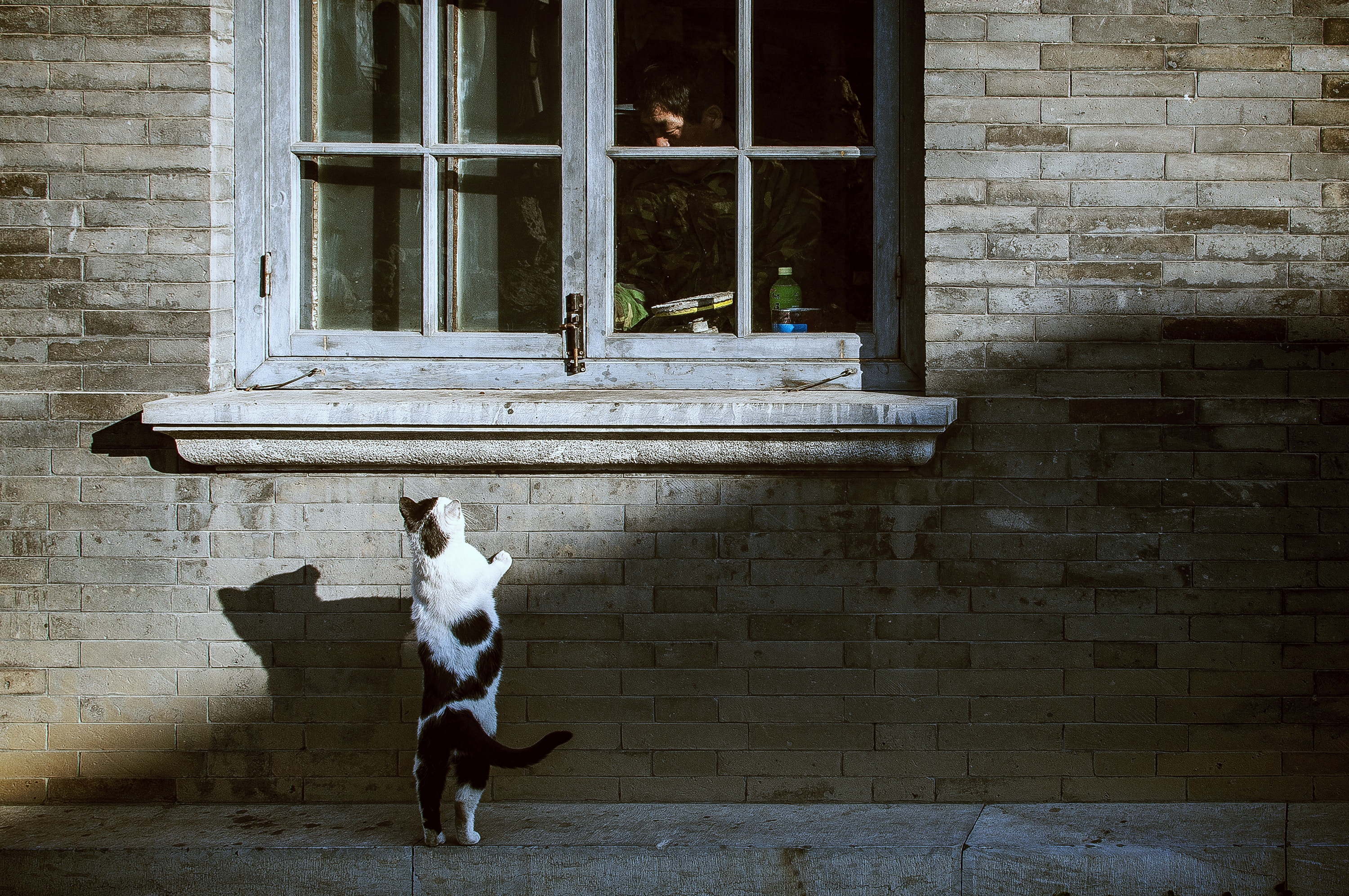 bing-han-223763-unsplash